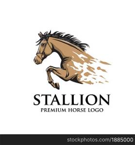stallion horse racing logo template. Vector racer or rearing mustang and running stallion head for equine sport races , equestrian logo vector