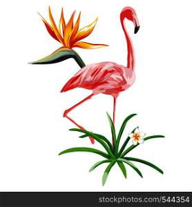 Stand pink flamingo with tropical plants and flowers beach wallpaper