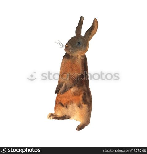 Standing cute brown bunny with standing ears in watercolor. Elements for a happy Easter and farms design. Pretty rabbit. Vector