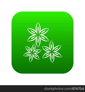 Star anise icon digital green for any design isolated on white vector illustration. Star anise icon digital green
