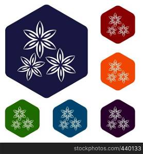 Star anise icons set hexagon isolated vector illustration. Star anise icons set hexagon