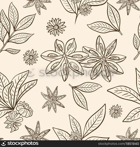 Star anise seamless vintage pattern, vector illustration. Background with a sketch of pods, leaves and flowers. Template with fragrant spices. Hand drawing food.. Star anise seamless vintage pattern, vector illustration.