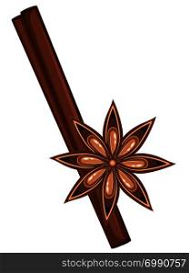 Star anise with stick of cinnamon, spices illustration.