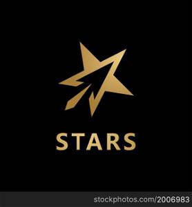 Star logo vector icon template design for business