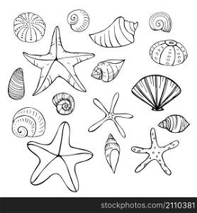 Starfish and seashells. Vector sketch illustration.