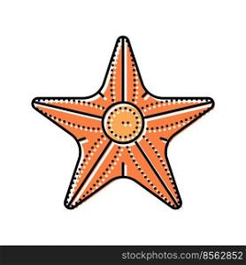 starfish beach summer color icon vector. starfish beach summer sign. isolated symbol illustration. starfish beach summer color icon vector illustration
