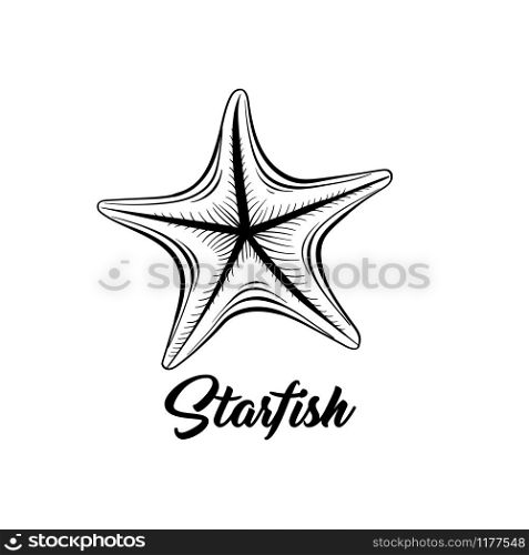 Starfish black and white vector illustration. Sealife saltwater creature freehand drawing. Marine fauna, oceanic invertebrate animal hand drawn engraving with calligraphy. Postcard design element. Starfish black ink vector illustration