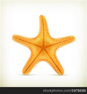 Starfish, realistic vector icons