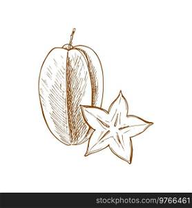Starfruit isolated carambola sketch. Vector star shape slice of exotic tropical fruit. Carambola fruit isolate starfruit sketch whole cut