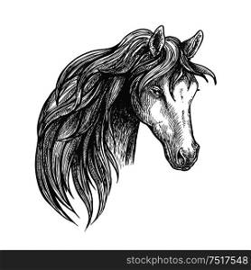 Stately mare of american quarter breed sketch portrait with half turn view of pretty horse. May be used as equestrian club symbol or horse breeding theme design. Horse of american quarter breed sketch portrait