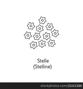 Stelle pasta illustration. Stelline vector doodle sketch. Traditional Italian food. Hand-drawn image for engraving or coloring book. Isolated black line icon. Editable stroke.. Stelle pasta illustration. Stelline vector doodle sketch. Traditional Italian food. Hand-drawn image for engraving or coloring book. Isolated black line icon. Editable stroke