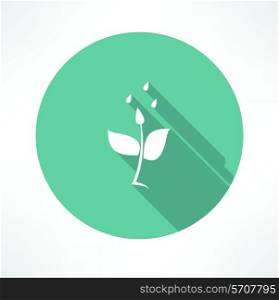 stem with water icon Flat modern style vector illustration