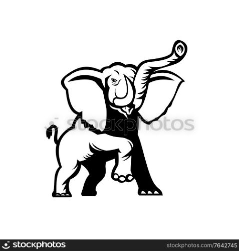 Stencil illustration of an African Elephant, Loxodonta, African bush elephant or African forest elephant prancing viewed from front on isolated background done in black and white retro style.. African Elephant Loxodonta African Bush Elephant or African Forest Elephant Prancing Stencil Black and White