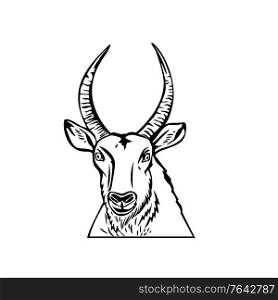 Stencil illustration of head of a Defassa waterbuck, a large antelope found widely in sub-Saharan Africa, viewed from front on isolated background done in black and white retro style.. Head of a Defassa Waterbuck Front View Stencil Black and White Retro Style