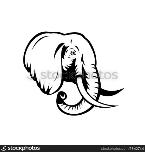 Stencil illustration of head of an African Elephant, Loxodonta, African bush elephant or African forest elephant viewed from side on isolated background done in black and white retro style.. African Elephant Loxodonta African Bush Elephant or African Forest Elephant Head Stencil Black and White