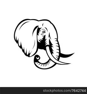 Stencil illustration of head of an African Elephant, Loxodonta, African bush elephant or African forest elephant viewed from side on isolated background done in black and white retro style.. African Elephant Loxodonta African Bush Elephant or African Forest Elephant Head Stencil Black and White