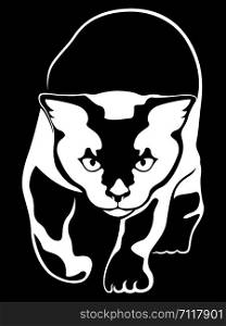 Stencil of abstract cat, black vector hand drawing on the white background