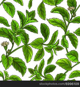stevia branch vector pattern on white background. stevia branch vector pattern