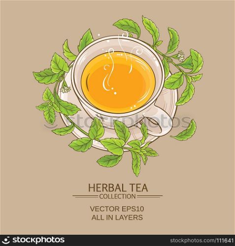 stevia cup of tea. cup of steva tea on color background