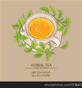 stevia cup of tea. cup of steva tea on color background