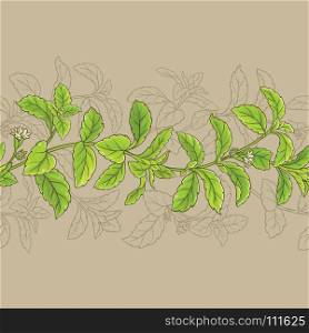 stevia vector frame. stevia vector horizontal pattern on color background
