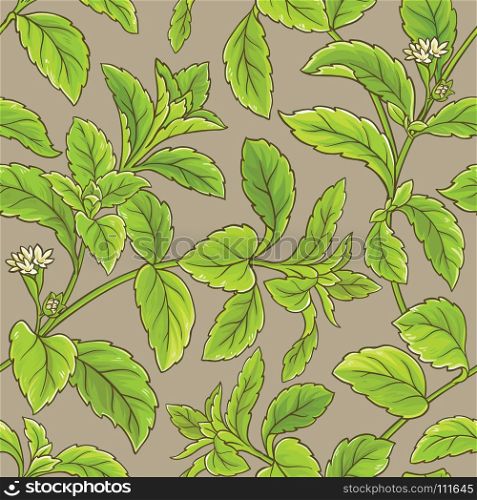 stevia vector pattern. stevia vector seamless pattern on color background