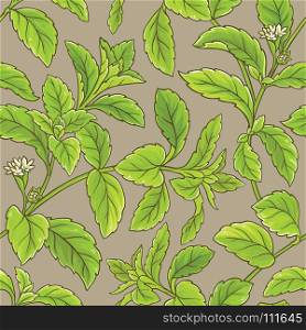 stevia vector pattern. stevia vector seamless pattern on color background