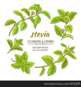 stevia vector set. stevia leaves vector set on white background