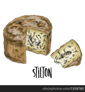 Stilton. Full color cheese illustration, vector hand drawn sketch art.