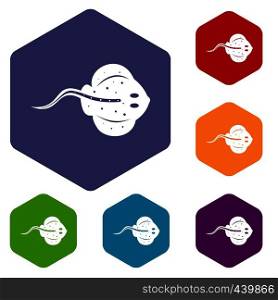 Stingray fish icons set hexagon isolated vector illustration. Stingray fish icons set hexagon