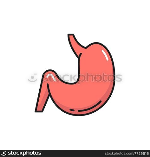 Stomach digestive tract and enzyme system internal organ isolated color line icon. Vector gastroenterologist clinic emblem, probiotic, lactobacillus bacteria in abdomen digestion internal human organ. Digestive system organ human stomach isolated icon
