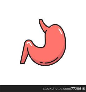 Stomach digestive tract and enzyme system internal organ isolated color line icon. Vector gastroenterologist clinic emblem, probiotic, lactobacillus bacteria in abdomen digestion internal human organ. Digestive system organ human stomach isolated icon