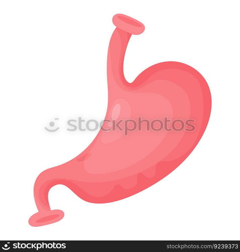 Stomach. Human organ of gastrointestinal tract. Vector illustration in ...