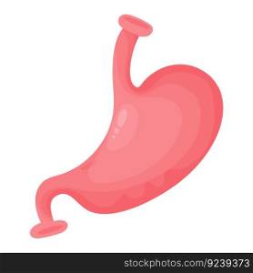 Stomach. Human organ of gastrointestinal tract. Vector illustration in flat cartoon style. Anatomy concept