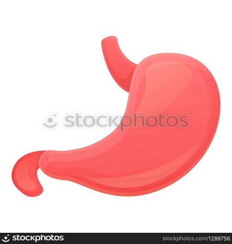 Stomach icon. Cartoon of stomach vector icon for web design isolated on white background. Stomach icon, cartoon style
