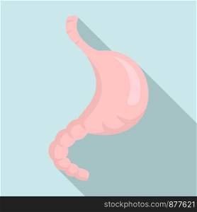 Stomach icon. Flat illustration of stomach vector icon for web design. Stomach icon, flat style