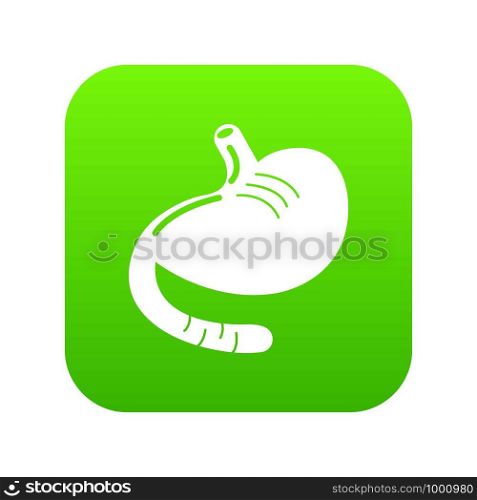 Stomach icon green vector isolated on white background. Stomach icon green vector