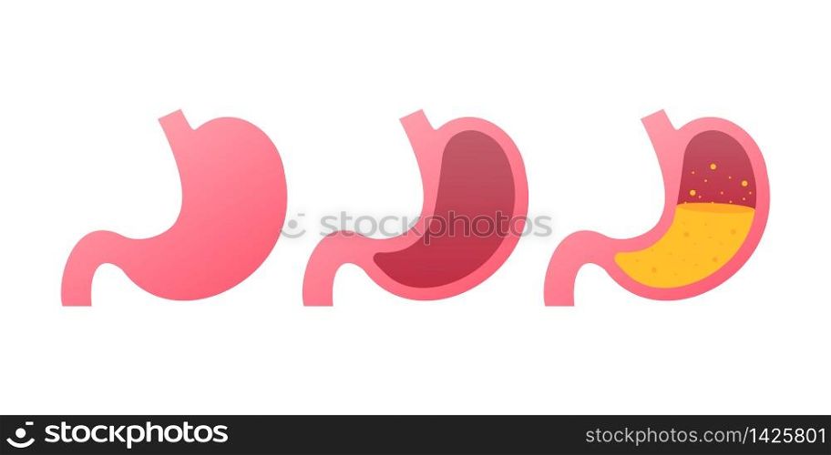 Stomach icon. Human internal organs symbol. Vector stock illustration. Stomach icon. Human internal organs symbol. Vector stock illustration.