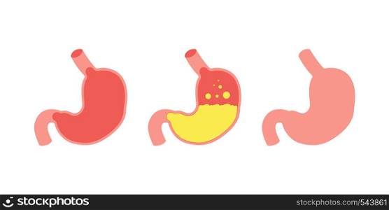 Stomach icon in three different style