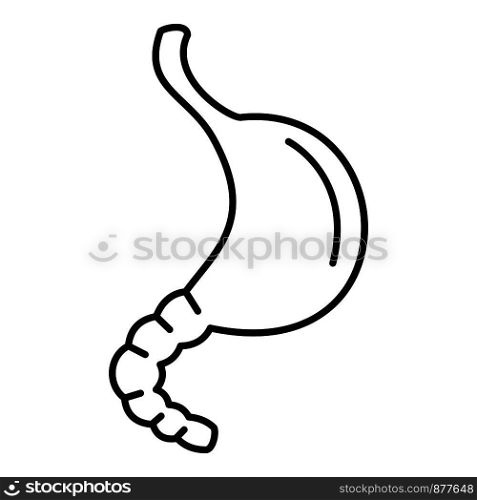 Stomach icon. Outline stomach vector icon for web design isolated on white background. Stomach icon, outline style