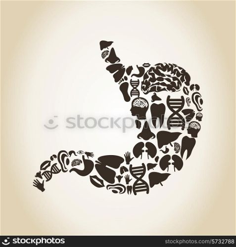 Stomach made of body parts. A vector illustration