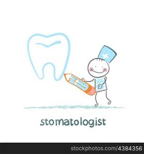 stomatologist drawing tooth