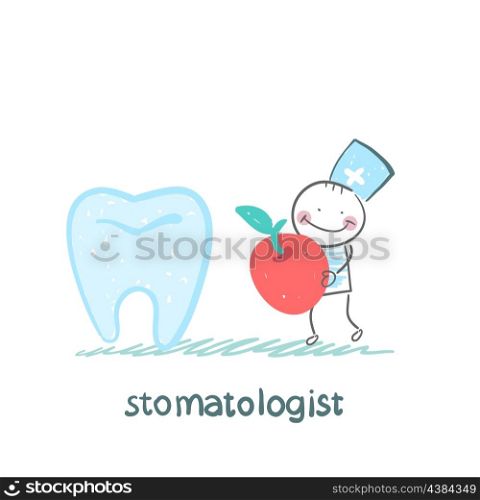 stomatologist with apple standing near a large tooth