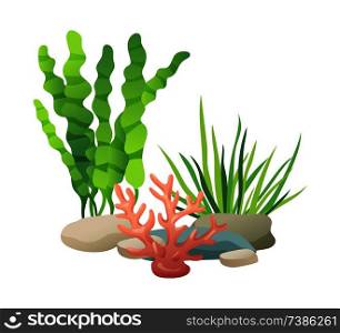 Stones and green vegetation set. Plants seaweeds of sea and oceans used to decorate aquariums and water containers. Flora foliage, vector illustration. Stones and Vegetation Set Vector Illustration