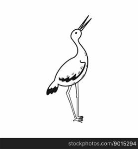 Stork. Vector doodle illustration. Beautiful bird. Hand drawn sketch.
