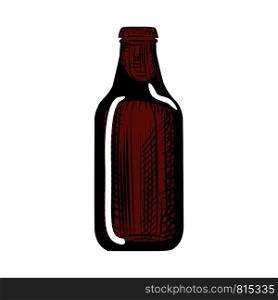 Stout beer bottle. Engraving style. Hand drawn vector illustration isolated on white background.. Stout beer bottle. Engraving style. Hand drawn illustration isolated