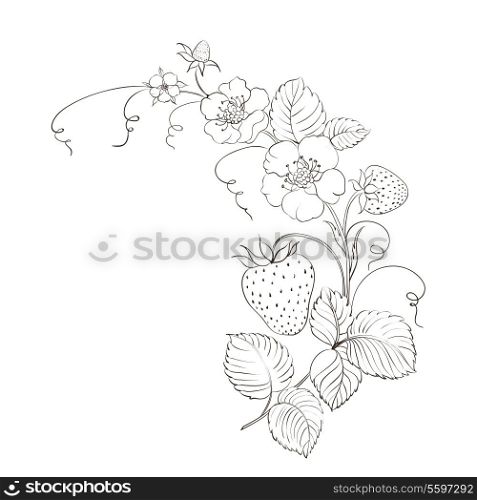 Strawberries brunch isolated on the white. Vector illustration.