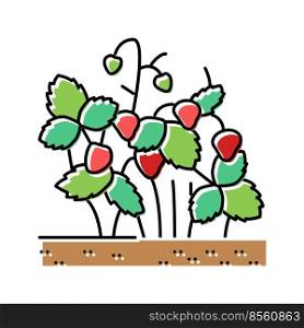 strawberry bush plant color icon vector. strawberry bush plant sign. isolated symbol illustration. strawberry bush plant color icon vector illustration