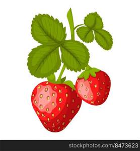 strawberry cartoon vector. cut red berry, ripe dessert, healthy juice strawberry vector illustration. strawberry cartoon vector illustration