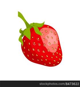 strawberry cartoon vector. cut red berry, sweet ripe , healthy juice strawberry vector illustration. strawberry cartoon vector illustration